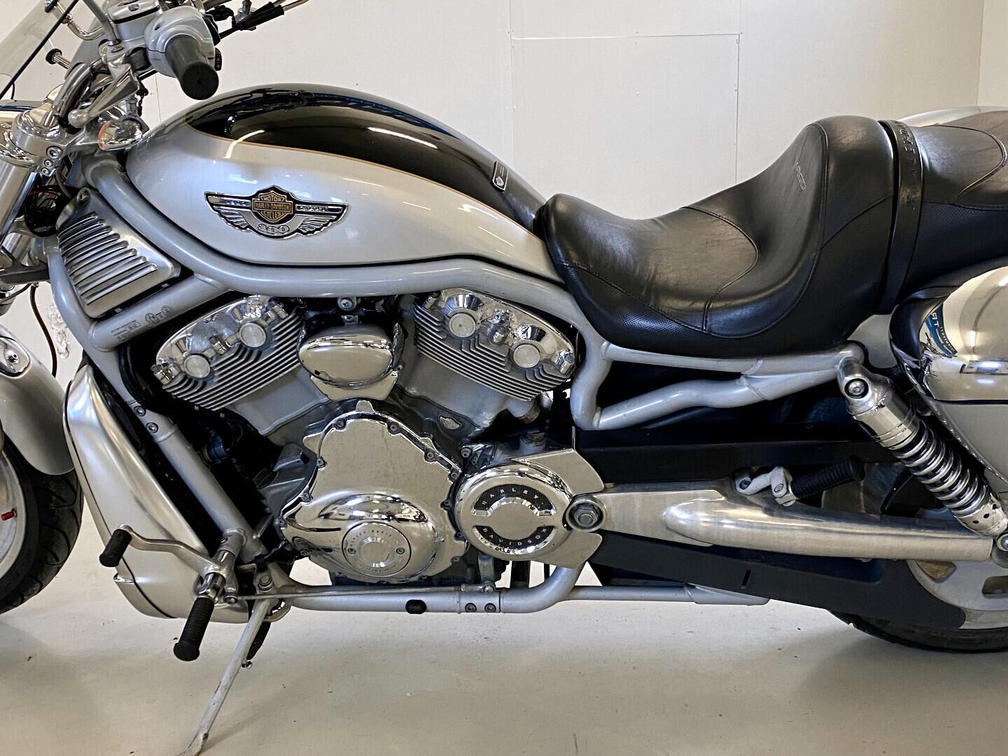 Harley-Davidson VRSC 2003 – kuva 15